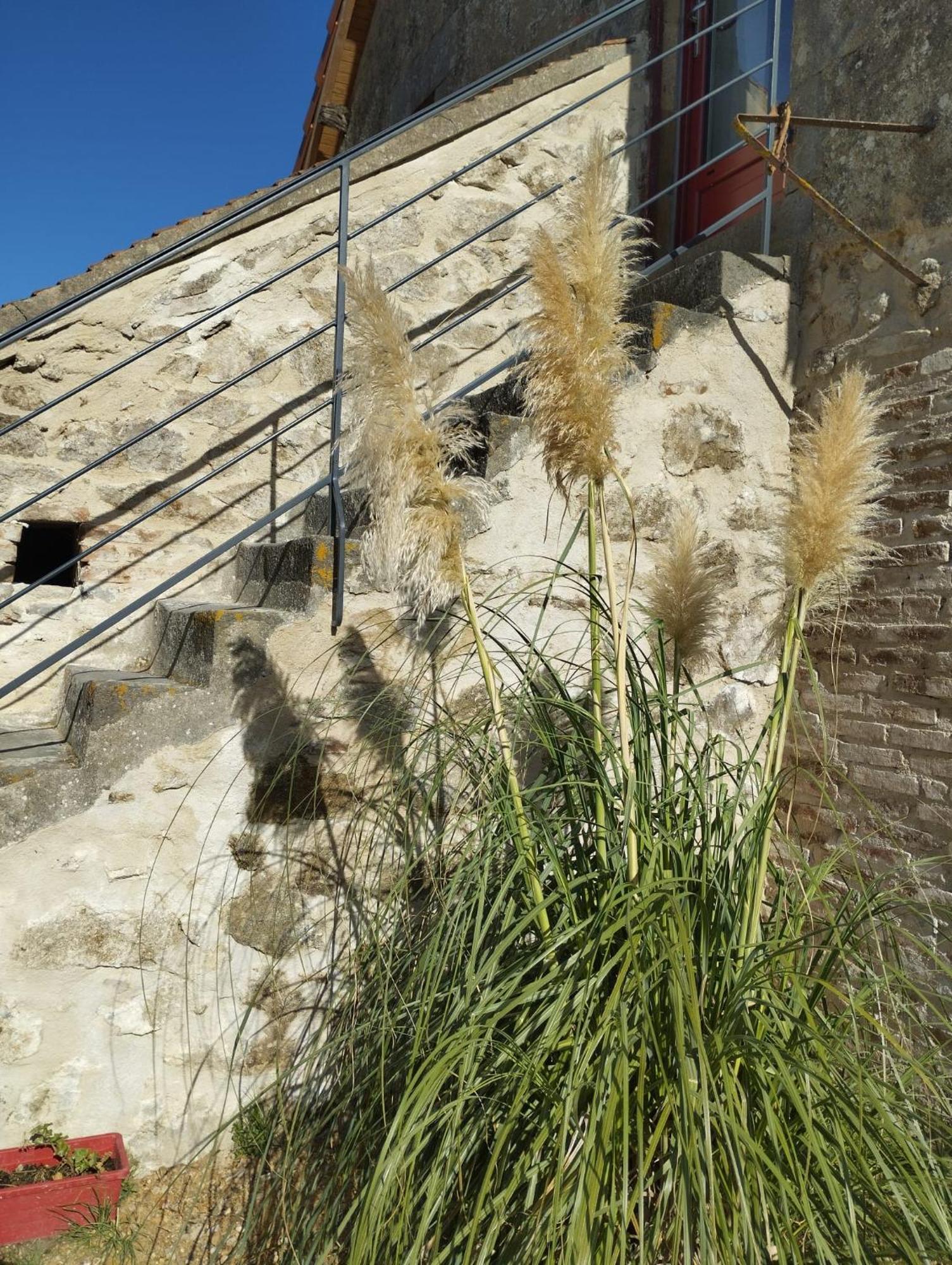 La Bruyere - B & B - Tréban Dış mekan fotoğraf